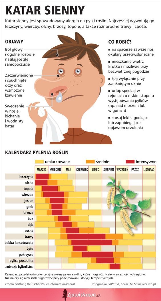 Katar sienny - jakie są jego objawy i co robić, gdy się u nas pojawi + kalendarz pylenia roślin